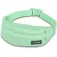 Сумка на пояс Dakine CLASSIC HIP PACK dusty mint