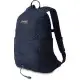 Рюкзак Dakine WNDR PACK 18L night sky oxford