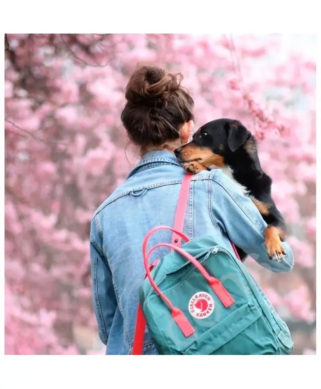 Fjallraven Kanken 16L Frost Green Peach Pink 23510.664 319 GoodBags