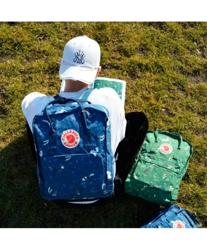Fjallraven kanken blue fable online