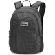 Рюкзак мужской Dakine Factor 22L rincon